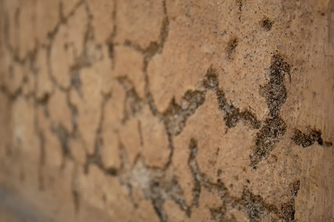 brown and black concrete wall