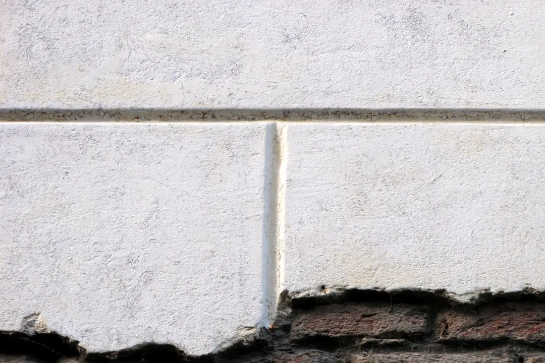 a bird is perched on the corner of a brick wall