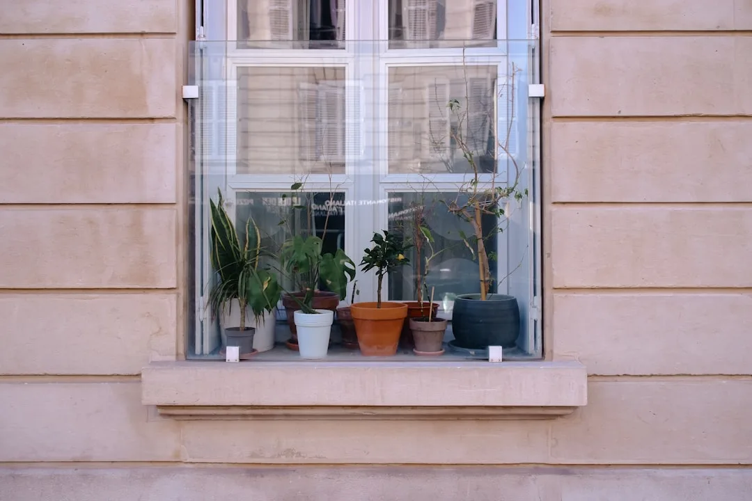a window sill filled with potted plants next to a window