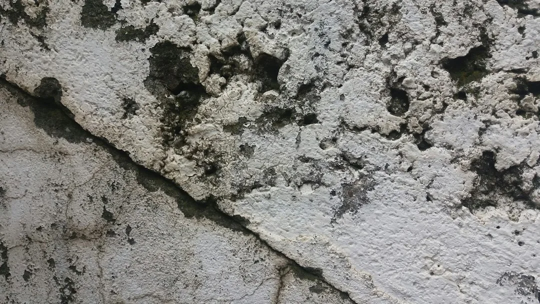 Pourquoi vos moulures EPS gonflent après pose et comment arrêter l&rsquo;infiltration d&rsquo;eau dans 48 heures